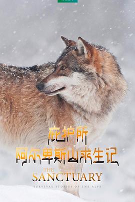 庇護所：阿爾卑斯山求生記[電影解說]