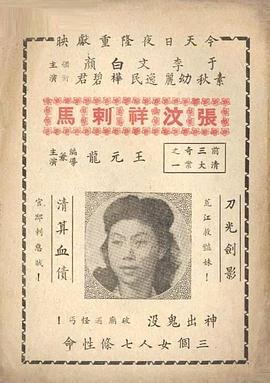 大俠複仇記