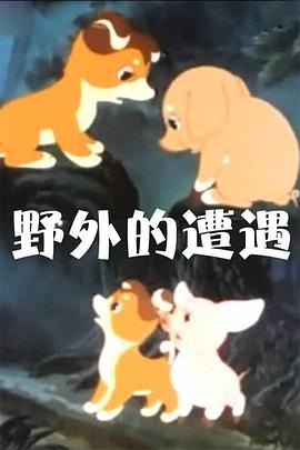 野外的遭遇[電影解說]