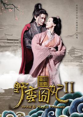野蠻囧妃2：迷霧重重