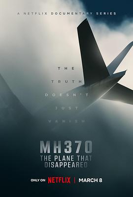MH370：消失的航班