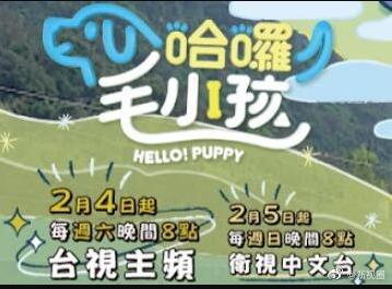 哈囉！毛小孩